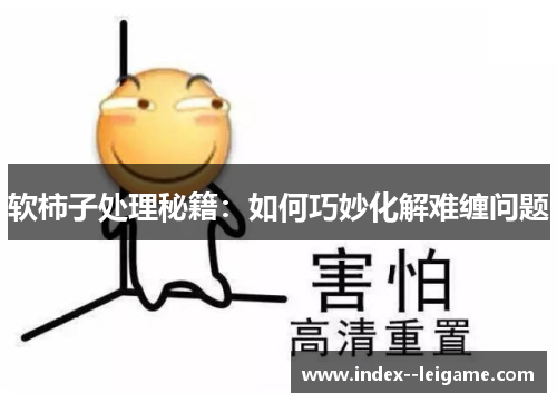 软柿子处理秘籍：如何巧妙化解难缠问题