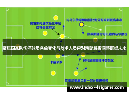 聚焦国家队伤停球员名单变化与战术人员应对策略解析调整展望未来