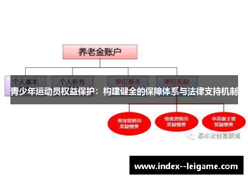 青少年运动员权益保护：构建健全的保障体系与法律支持机制