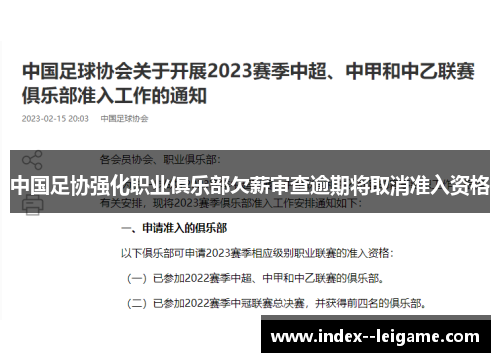 中国足协强化职业俱乐部欠薪审查逾期将取消准入资格